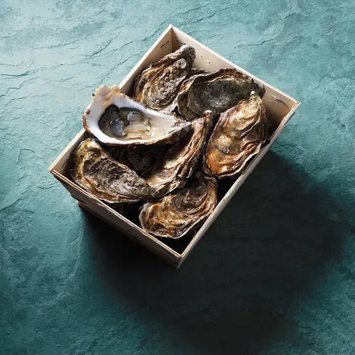 Huîtres Fines de Claire N°3